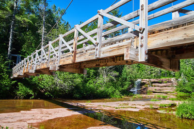 Footbridge over trees in forest against sky