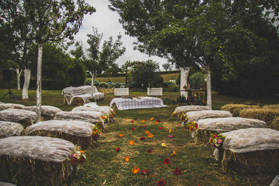 View of cemetery against trees