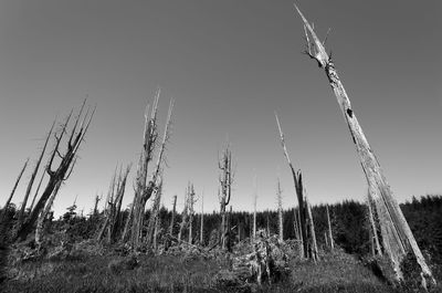 Panoramic view of field against clear sky