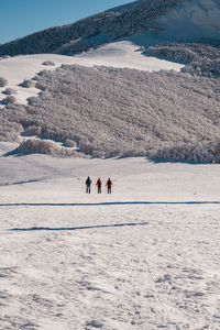 Dogs walking on snow covered landscape