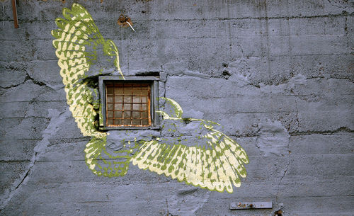 Plants growing on wall of old building