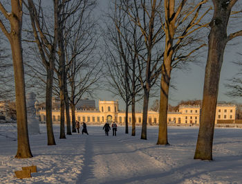 People walking on snow covered bare trees in city