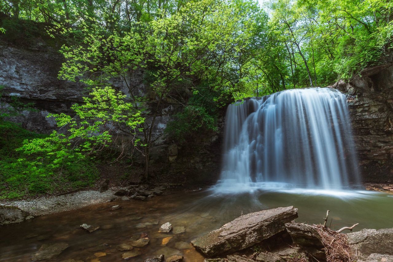 waterfall, water, flowing water, motion, tree, forest, beauty in nature, rock - object, long exposure, scenics, flowing, nature, tranquility, growth, tranquil scene, idyllic, day, environment, rock, stream