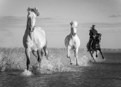 Horses running in the sea