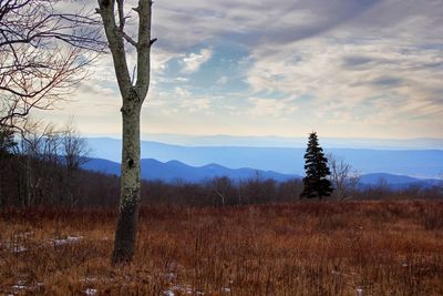 Scenic view of landscape against sky during sunset