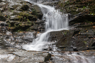 Scenic view of waterfall in forest