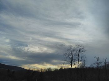 Silhouette trees on field against sky