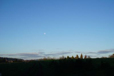 Scenic view of landscape against clear blue sky