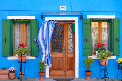 Potted plants against blue door of building