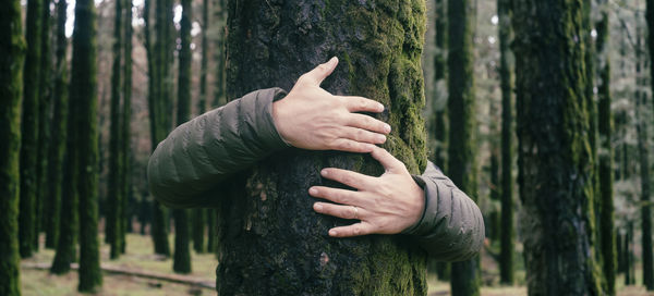 Cropped hand of man touching tree trunk