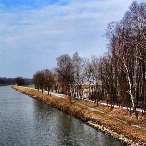 tree, water, tranquility, tranquil scene, sky, lake, scenics, waterfront, beauty in nature, nature, bare tree, river, branch, growth, idyllic, rippled, reflection, cloud, no people, cloud - sky