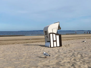 View of seagull next to hooded beach chair on beach