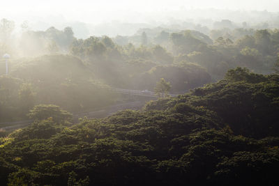 Sunlight streaming through trees on landscape against sky