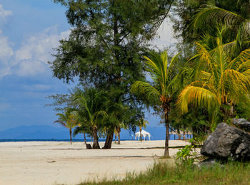 Trees at beach against sky at langkawi