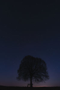 Silhouette tree against sky at night