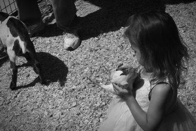 High angle view of girl holding hen on field