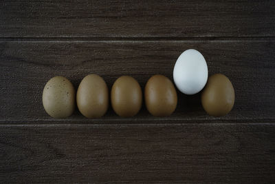 High angle view of eggs on table