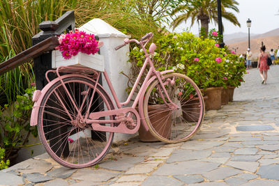 View of pink flower on footpath by street