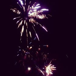 Low angle view of firework display at night