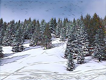 Trees against sky during winter