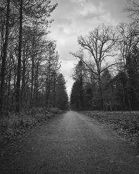 Dirt road amidst trees in forest against sky