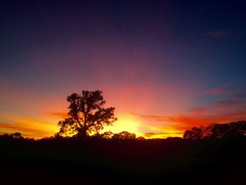 Silhouette trees on landscape against sky at sunset