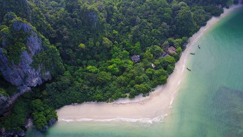 High angle view of river amidst trees in forest