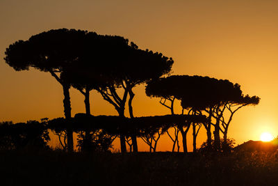 Silhouette trees against clear sky during sunset