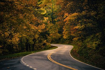 Empty road along trees during autumn