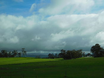Scenic view of field against sky