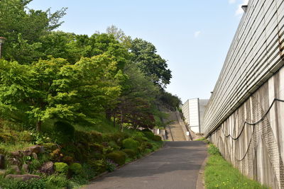 Road amidst trees and buildings against sky