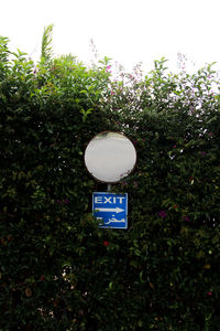 Low angle view of road sign against trees