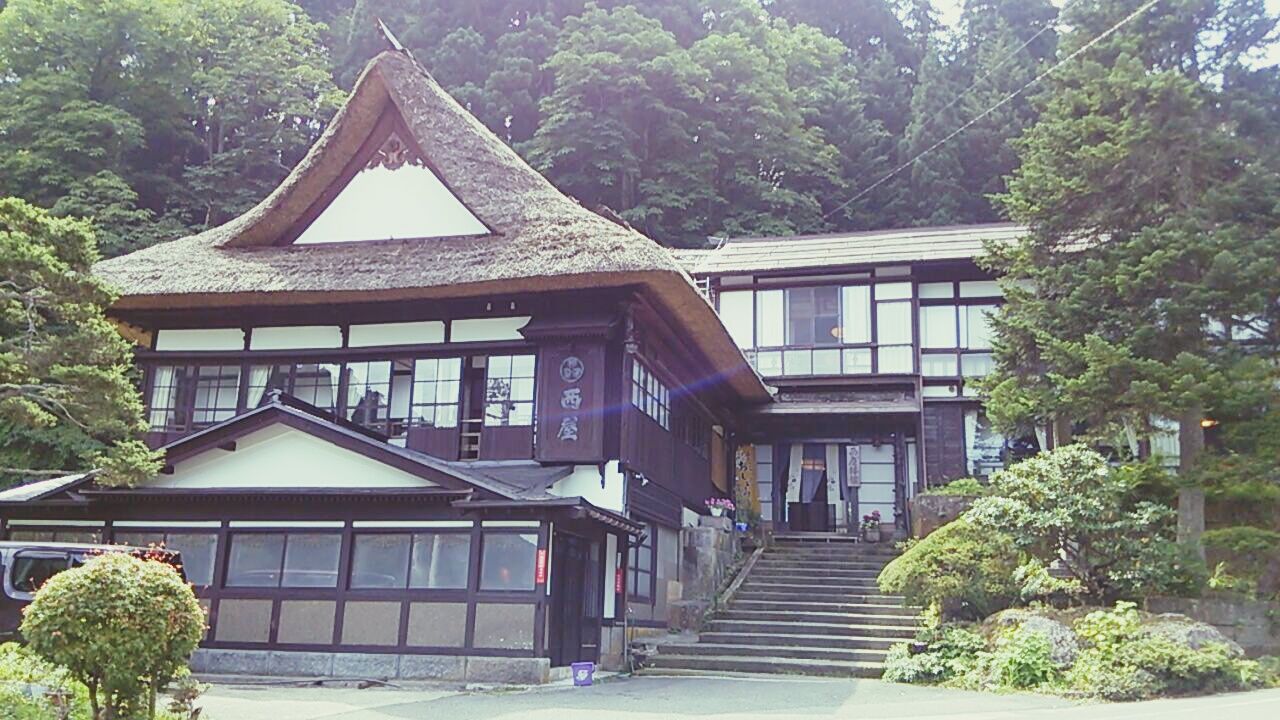 architecture, built structure, building exterior, tree, house, entrance, window, low angle view, steps, plant, day, place of worship, growth, railing, facade, religion, sunlight, residential structure, outdoors, residential building