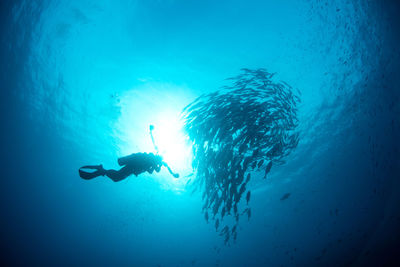 Man swimming in sea