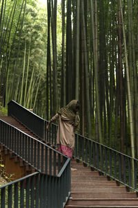 Full length of young woman standing in forest