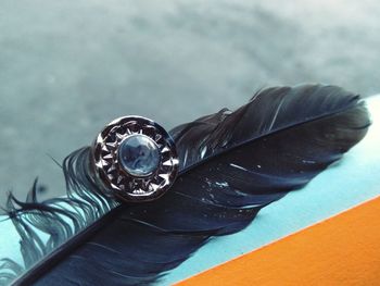 High angle view of a peacock
