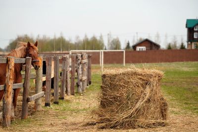 Hay bales on field against sky