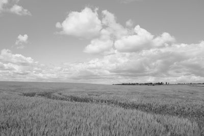 Scenic view of agricultural field against sky