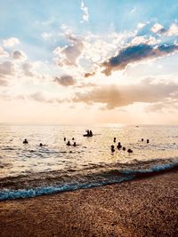 Birds swimming in sea against sky