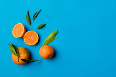 Directly above shot of fruits on blue background