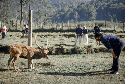 People standing on field by trees