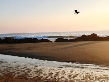 Scenic view of beach against sky during sunset