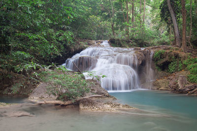 Waterfall in forest