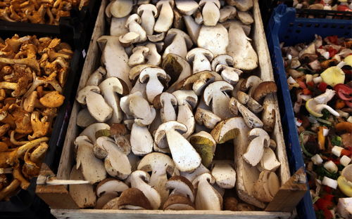 High angle view of mushrooms at market stall