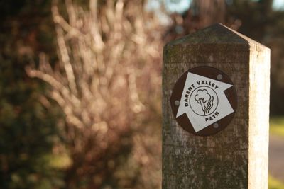 Close-up of information sign on tree trunk