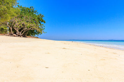 Scenic view of beach against clear blue sky