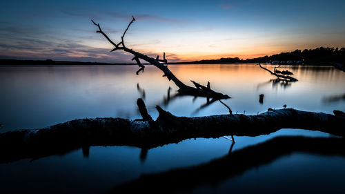 Bare tree on calm lake at sunset