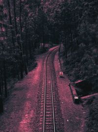 View of railway tracks along trees