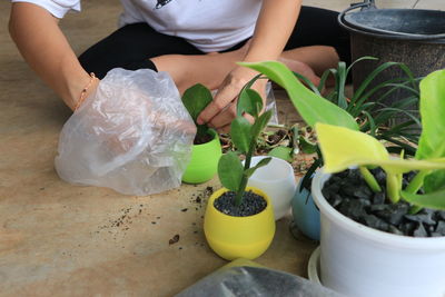 Midsection of person holding potted plant