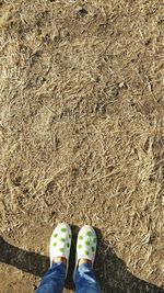 Low section of man standing on ground